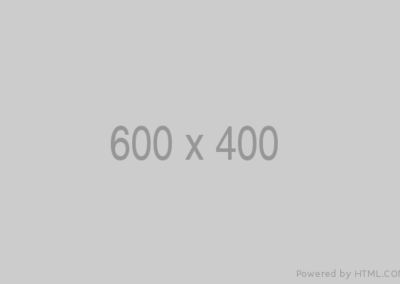 b800a2f1-9ca9-3b55-8409-f2731e481971