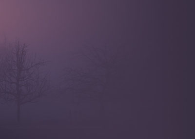 background-desktop-02