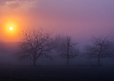 background-smartphone