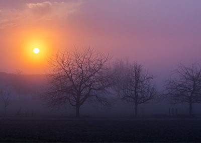 background-smartphone-480