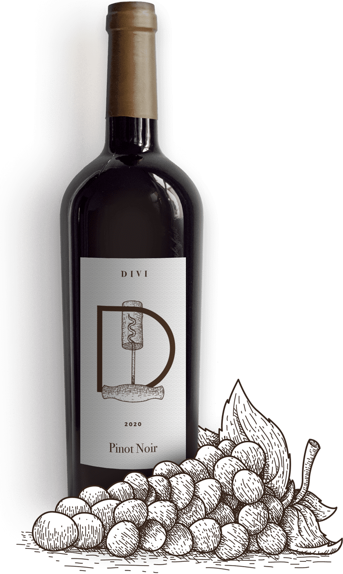 winery-35